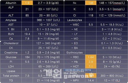 [그림 10] 보리 혈액검사 결과