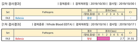 [그림 12] 보리 2차 PCR검사 결과