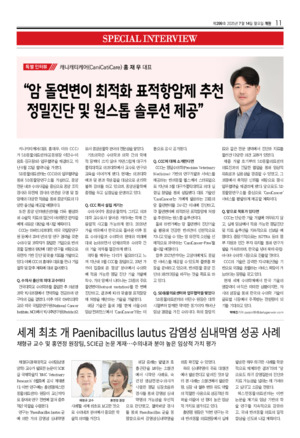 11면