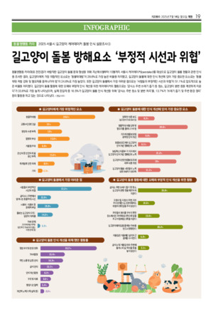 19면