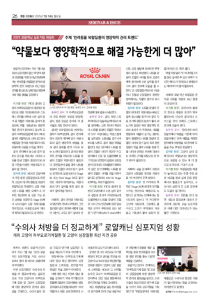26면