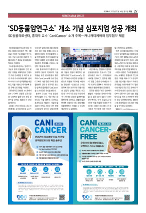 29면