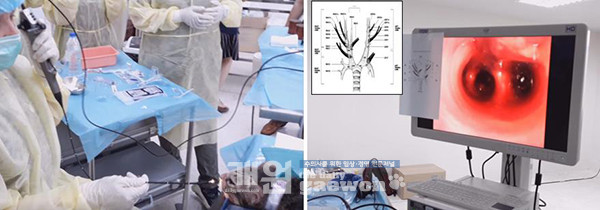 [그림 7] 기관지경 데모 장면(2019 Feline ENT endoscopy workshop in Bangkok).