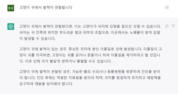 기자가 묻는 질문에 챗GPT가 답변했다