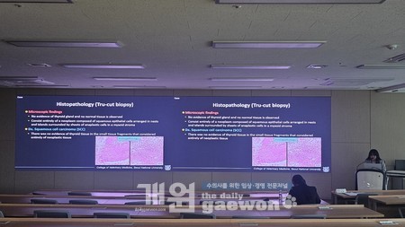 연제발표