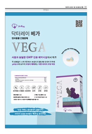 33면