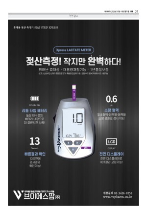 31면
