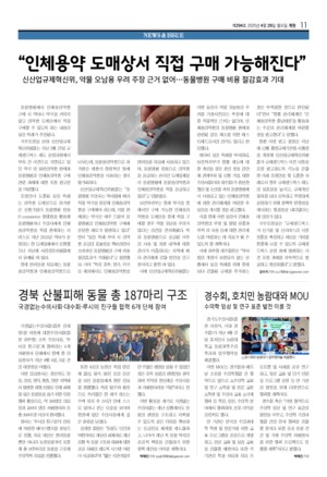 11면