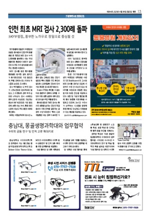 13면