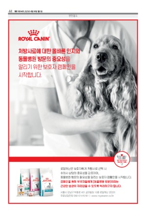 44면