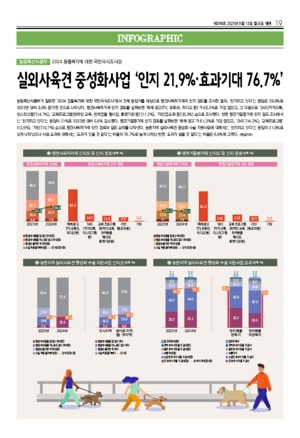 19면