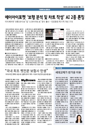 11면