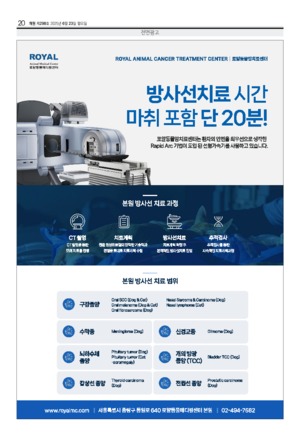 20면