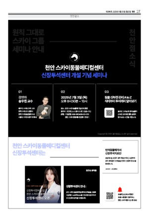27면