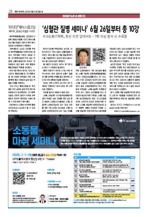 28면