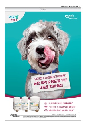 29면