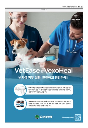 31면