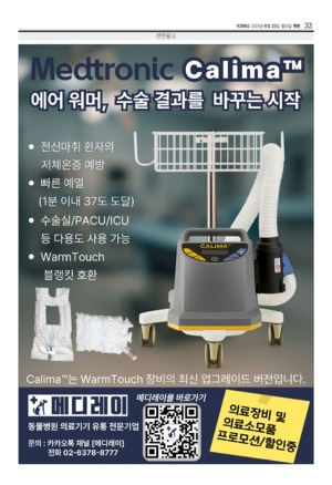 33면