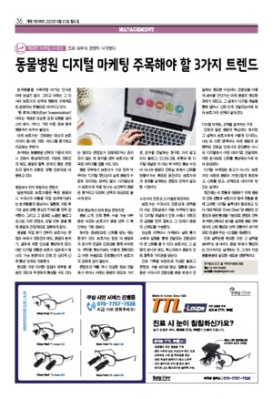 36면