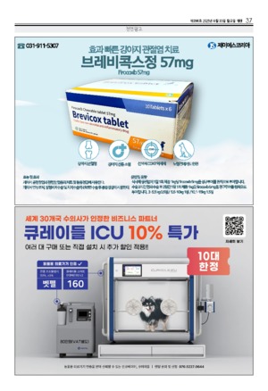 37면