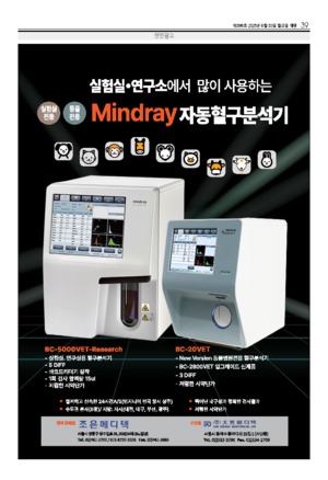 39면