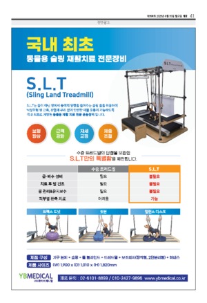 41면