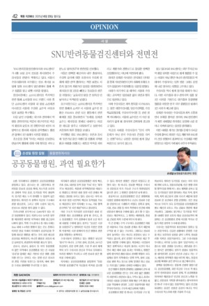 42면