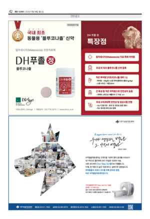 42면