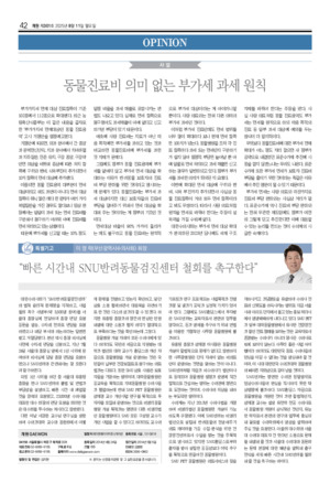 42면